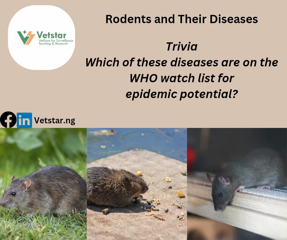 Rodents and their Diseases