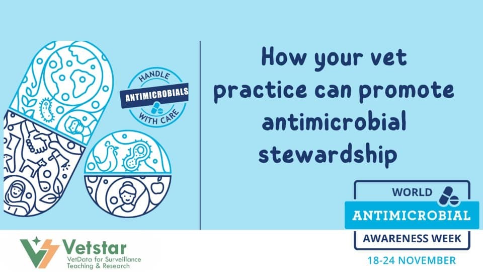 How Your Vet Practice can Promote Antimicrobial Stewardship