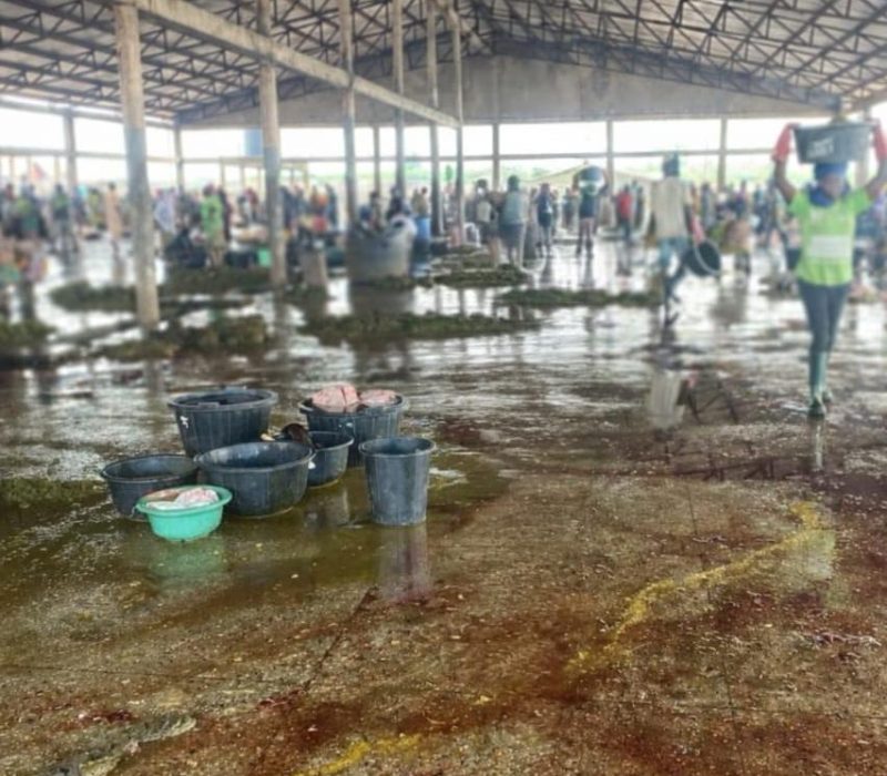 The floor of a slaughterhouse with poor hygiene and drainage